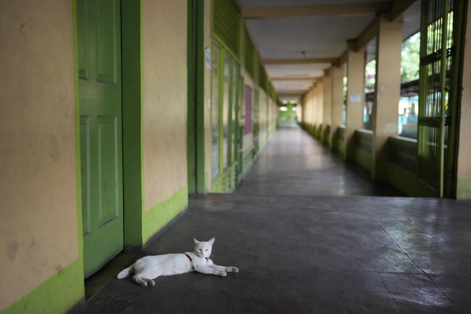 A cat rests in an empty hallway as classes shift to online mode due to the hot weather at the Justo Lukban Elementary School in Manila, Philippines on Monday, April 29, 2024. (AP Photo/Aaron Favila)