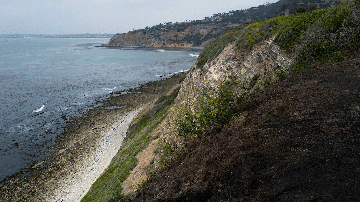 New details emerge in deadly Palos Verdes Estates cliff fall