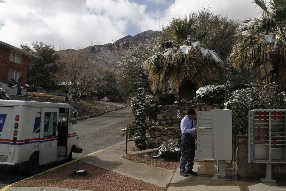 Snow can be seen on palm trees while mail carrier Pablo Salinas delivers letters on Wednesday, Feb. 5, 2020, in El Paso, Texas. Salinas said his commute took an extra hour due to road closures following four inches of snow falling overnight. (AP Photo/Cedar Attanasio)