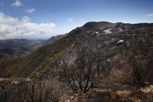 Burnt trees remain after a wildfire swept through the Garajonay national park on the island of La Gomera. Firefighters made strides Tuesday against wildfires on Spain's Canary Islands, but the country was on alert for more blazes due to an impending heatwave