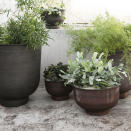 <p> &apos;In a small space, a few large features are better than many small ones. Two or three big pots will have much more impact and look far more stylish than a dozen ill-assorted smaller ones,&apos; says gardening expert and TV personality Alan Titchmarsh. Potting your herbs in a few large, beautiful pots will always look nicer than using lots of tiny ones.&#xA0; </p>