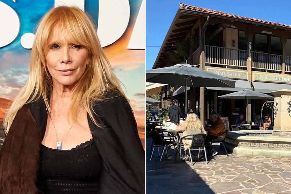 <p>Unique Nicole/Getty Images; Point Dume Village Instagram</p> Rosanna Arquette; the DGA Theater Complex 