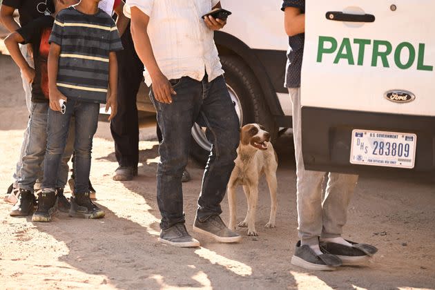 A dog looks on as migrants board Border Patrol vans after waiting along the border wall to surrender to U.S. Customs and Border Protection (CBP) agents for immigration and asylum claim processing upon crossing the Rio Grande river into the United States.