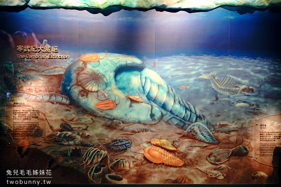 屏東國立海洋生物博物館