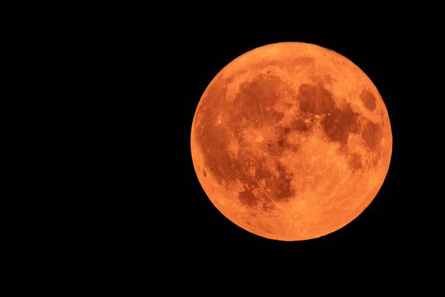 <p>Nicolas Economou/NurPhoto via Getty</p> Rare super blue moon in the Netherlands