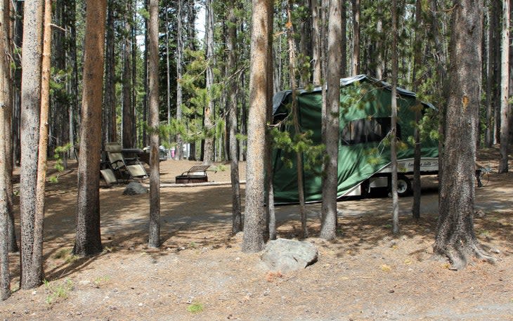 Canyon Campground in Yellowstone