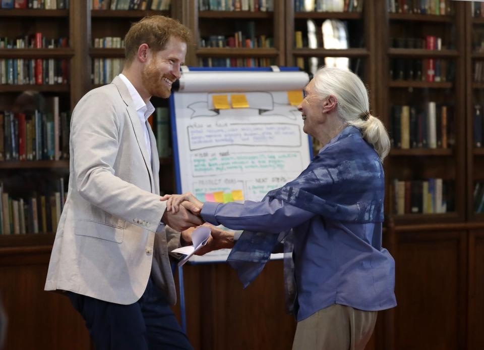 See All the Best Photos of Prince Harry Meeting with Legendary Environmentalist Jane Goodall