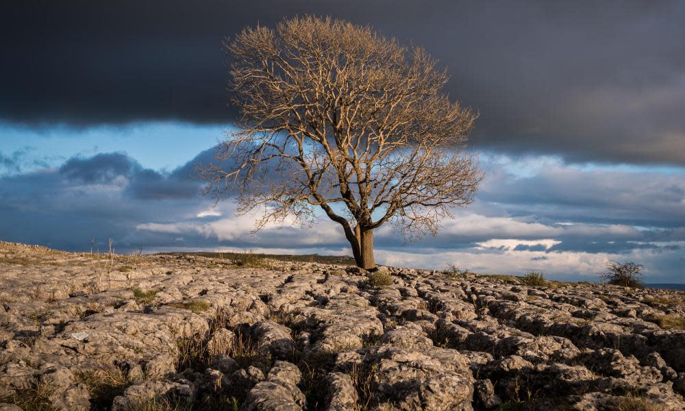 <span>Photograph: George Robertson/Alamy</span>