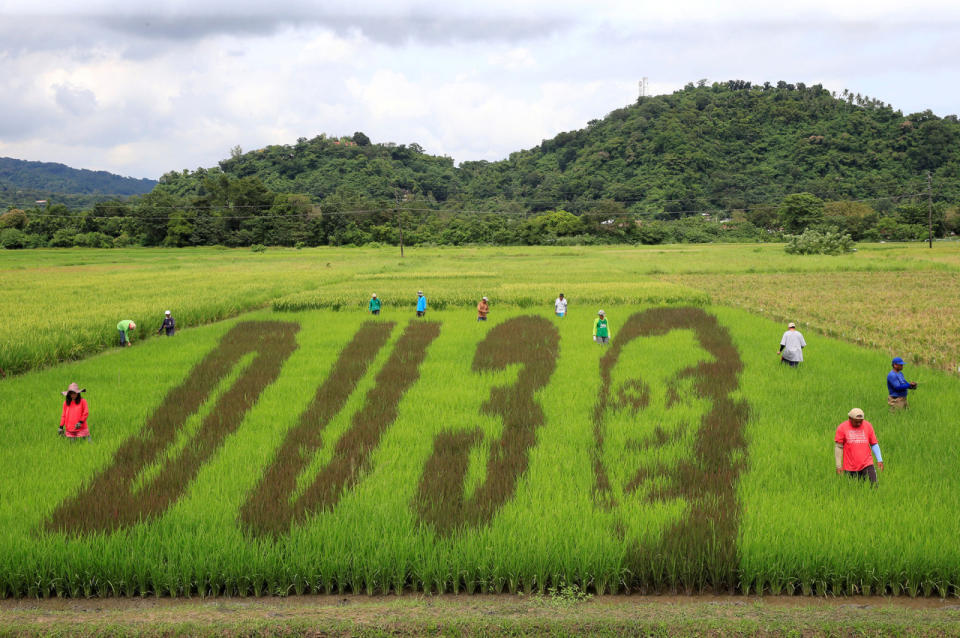 President Duterte pictured on rice paddy in Los Banos city, Philippines