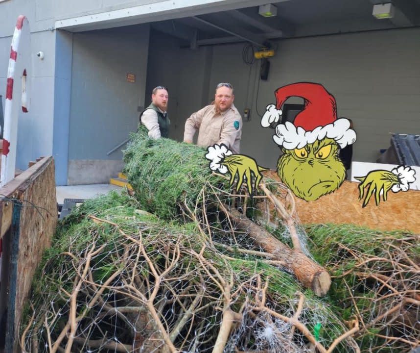 Mamie the Texas Capitol Christmas Tree traveled down Interstate 35 on Monday, | Courtesy Texas Parks and Wildlife