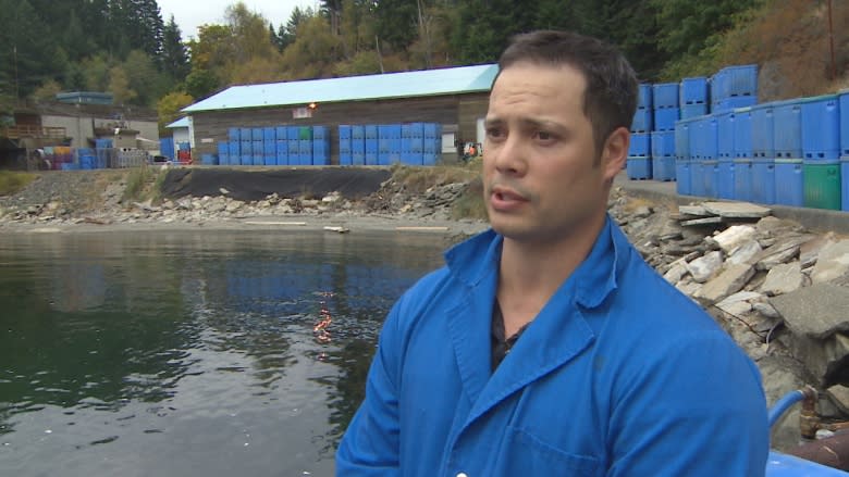 BC Ferries fare hikes forcing some to rethink island work, life