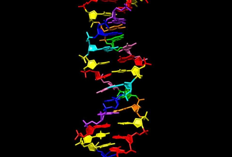 Nasa finds new form of DNA in search for alien life