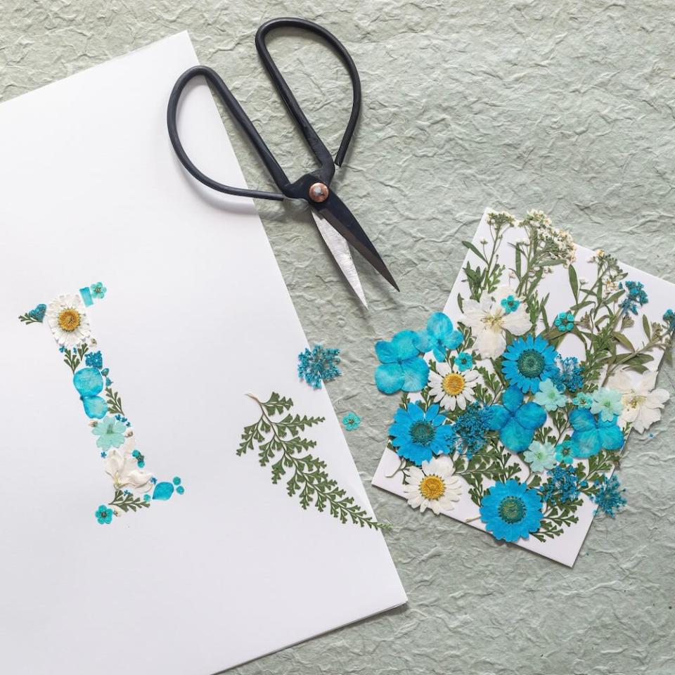 Herbier DiY Flowrette