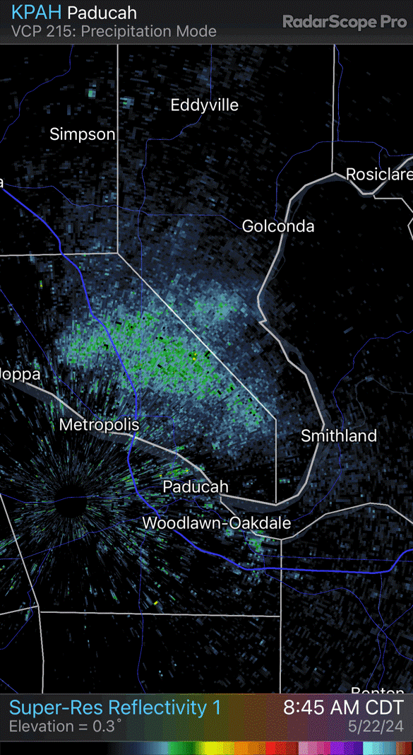 A blip that showed up on weather maps above Southern Illinois Wednesday was likely caused by bugs, the National Weather Service said Wednesday. And considering the time of year, cicadas are probably to blame.