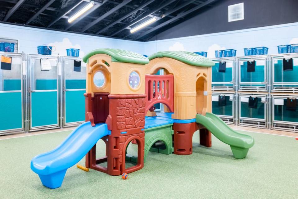 Tiny Town is a play space and boarding area for small dogs at Pet Paradise. Photo courtesy Pet Paradise