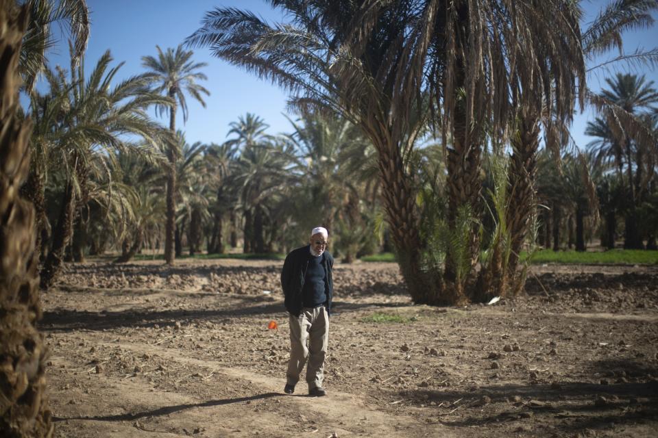 Mohamed Bozama walks next to agricultural lands in the Alnif oasis town, near Tinghir, Morocco, Tuesday, Nov. 29, 2022. In the last three years, hundreds of people from oasis areas have fled toward cities and many young people have migrated toward Europe, mainly because of the drought, said Bozama. (AP Photo/Mosa'ab Elshamy)