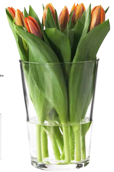 BLADET Vase with Flowers