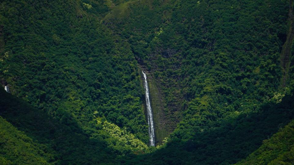 Scenic View Of Waterfall Amidst Trees