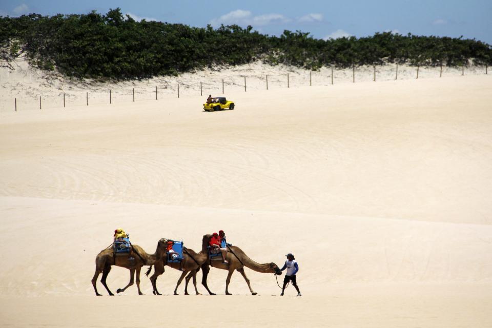 Tourists ride on camels at the Genipabu dunes in Natal, northeastern Brazil, March 27, 2014. Natal is one of the host cities for the 2014 World Cup soccer tournament in Brazil. REUTERS/Nuno Guimaraes (BRAZIL - Tags: SPORT SOCCER WORLD CUP TRAVEL SOCIETY)