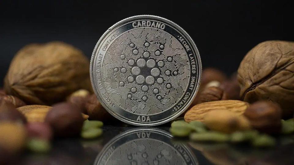 Cardano anunció dos nuevas actualizaciones