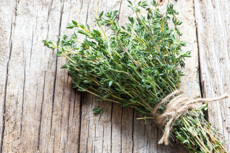 <h1 class="title">Thyme</h1><cite class="credit">Photo by Shutterstock</cite>