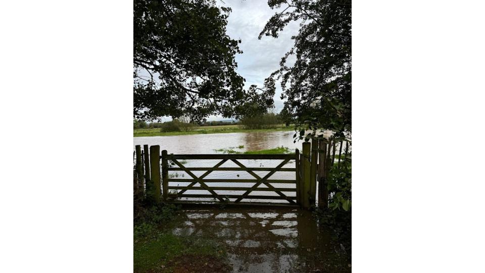 Monty Don's flooded garden