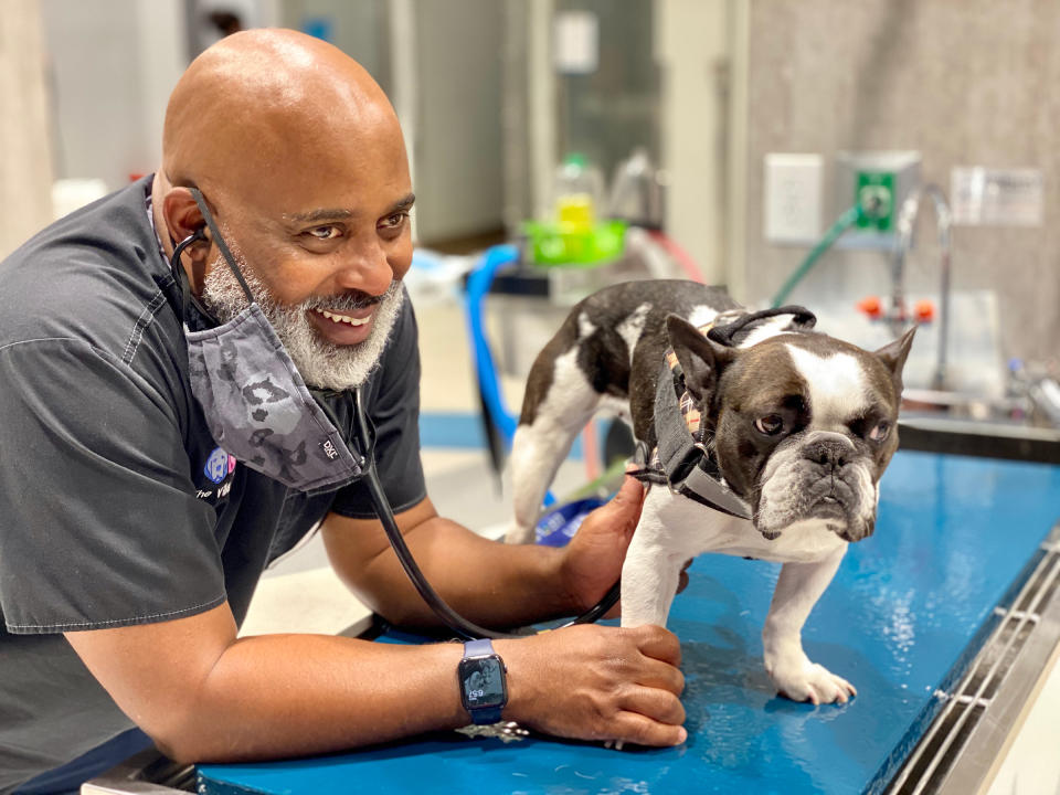 Draper with Bella, a French Bulldog, at The Village Vets on Oct. 8. Bella's front leg is "back to 100% now, fortunately," says Draper.<span class="copyright">Courtesy Will Draper</span>