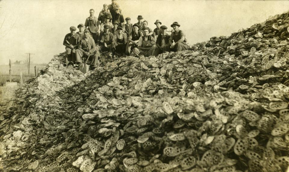 Men pose on a mound of mussel shells that have holes where pearl button blanks have been cut out. The shells had been harvested from the nearby White River. Written on the back of the image is "Button cutters at Petersburg button factory. Dannie (Robling) back row 4th from right, Bertie Robling fifth from right back row."