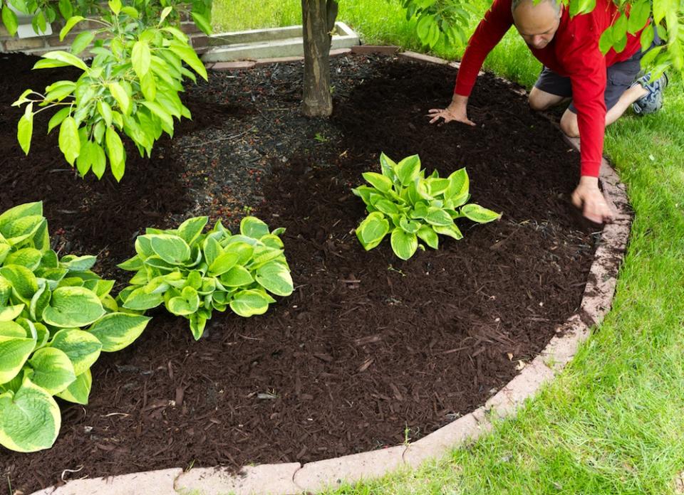 <body> <p>Give fall- and winter-hardy plants some extra protection. Deeply water them before the ground freezes, then add a thick layer of mulch around the roots to provide insulation. Wrap tender perennials with burlap or plastic to create a <a rel="nofollow noopener" href=" http://www.bobvila.com/slideshow/build-your-own-greenhouse-11-easy-to-assemble-kits-45789?bv=yahoo" target="_blank" data-ylk="slk:mini-greenhouse;elm:context_link;itc:0;sec:content-canvas" class="link ">mini-greenhouse</a> of warmer air that will help protect them from low temperatures, wind, and snow.</p> <p><strong>Related: <a rel="nofollow noopener" href=" http://www.bobvila.com/slideshow/liven-up-your-winter-porch-with-8-cold-loving-plants-48437?bv=yahoo" target="_blank" data-ylk="slk:Liven Up Your Winter Porch with 8 Cold-Loving Plants;elm:context_link;itc:0;sec:content-canvas" class="link ">Liven Up Your Winter Porch with 8 Cold-Loving Plants</a> </strong> </p> </body>