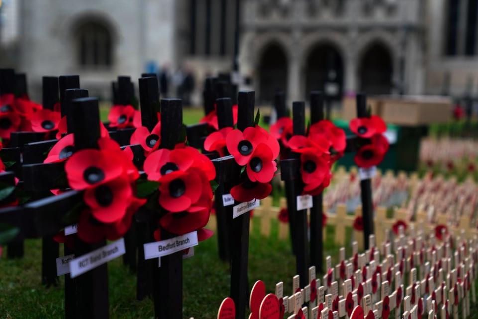 Rows of poppies on crosses laid out in the Field of Remembrance outside Westminster Abbey (Victoria Jones/PA) (PA Wire)