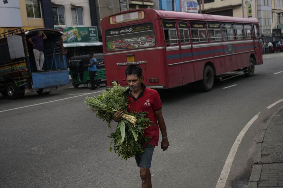 A man walks towards a market place carrying curry leaves in Colombo, Sri Lanka, Tuesday, March 21, 2023. The International Monetary Fund said Monday that its executive board has approved a nearly $3 billion bailout program for Sri Lanka over four years to help salvage the country's bankrupt economy.(AP Photo/Eranga Jayawardena)