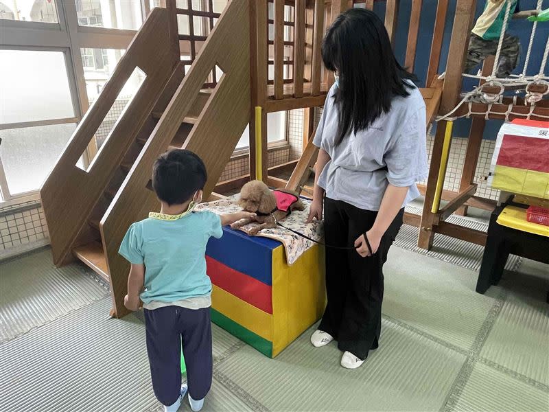 引導特殊需求幼兒與學習輔助犬互動。（圖／教育部提供）