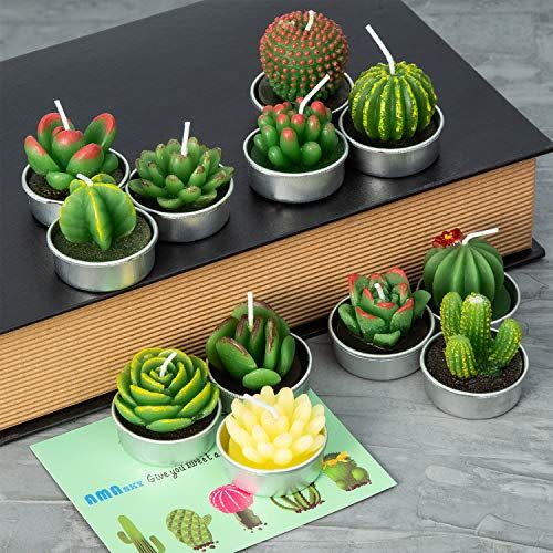 Succulent Candles