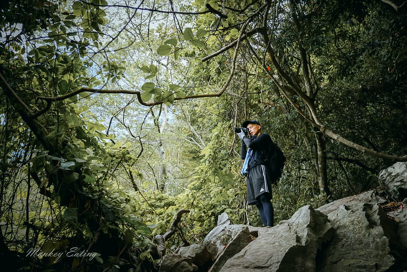 谷關七雄｜波津加山