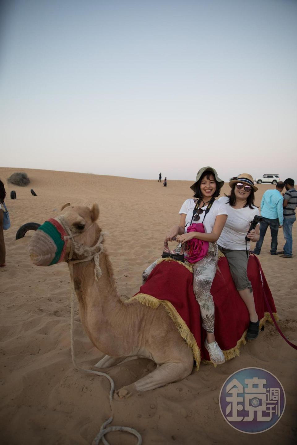 雖然駱駝先生很不甘願，還是無法打消遊客拍照的興致。