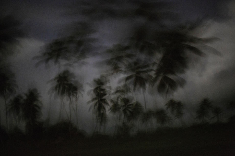 En esta fotografía del 4 de septiembre de 2018 se muestran palmeras durante la madrugada en Irlaya, Honduras. Con más del 60% de su población de 9 millones de personas que vive en la pobreza, Honduras es uno de los países más pobres de Latinoamérica y la localidad de la Mosquitia es una de las zonas más empobrecidas del país. (AP Foto/Rodrigo Abd)