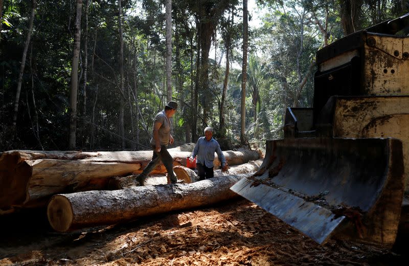 FILE PHOTO: Logs are seen in Bom Retiro deforestation area on the right side of the BR 319 highway near Humaita