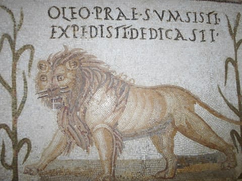 A Barbary lion in mosaic form at the Bardo Museum - Credit: Sinda BF