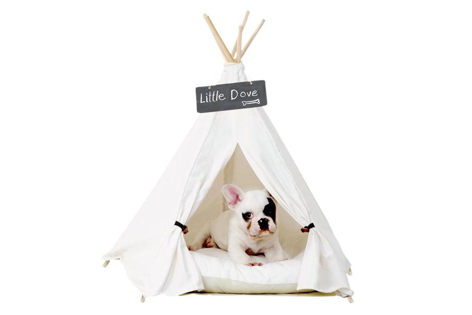 PUP TENT 