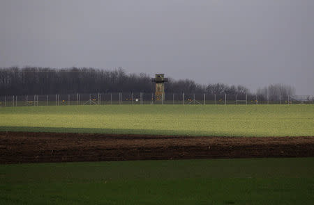 The wire border fence stands near to the village of Bacsszentgyorgy, Hungary, March 25, 2018. REUTERS/Bernadett Szabo