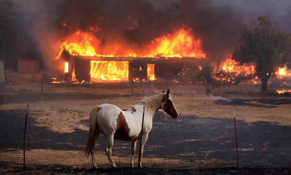 Wildfires force evacuations in Northern California