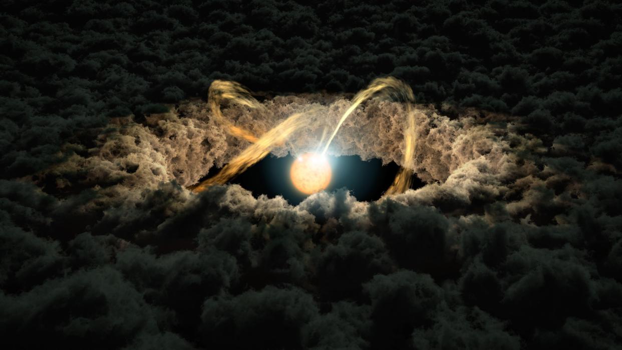  An artist's depiction of a star surrounded by a protoplanetary disk. 