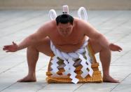 Mongolian-born grand sumo champion Yokozuna Hakuho performs the New Year's ring-entering rite at the annual celebration for the New Year at Meiji Shrine in Tokyo, Japan, January 6, 2017. REUTERS/Issei Kato