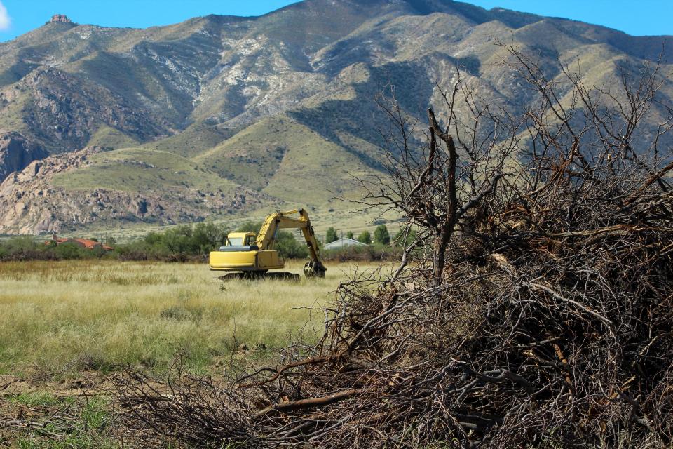 Land is cleared for agricultural expansion.