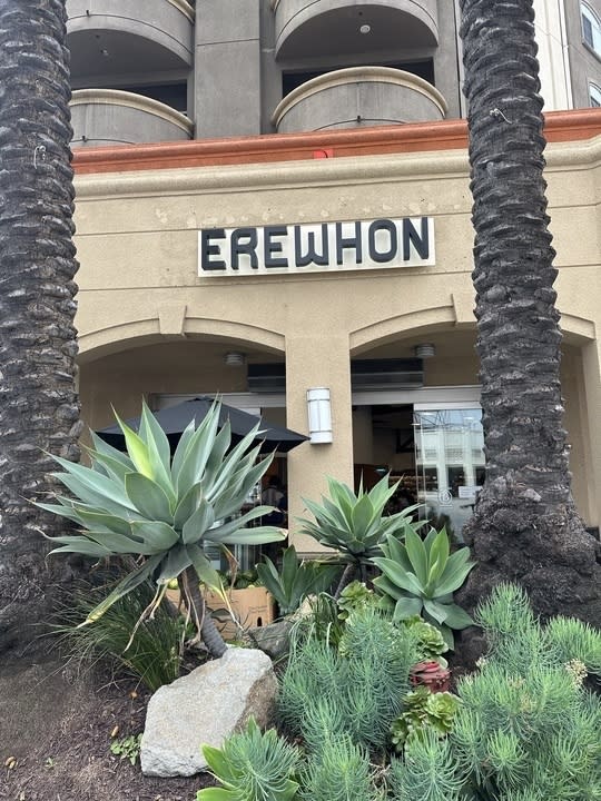 Storefront with the sign "EREWON" flanked by palm trees and succulent plants in front