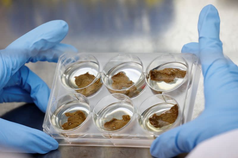 Employee holds a container with lab-grown steak as she works in a laboratory at Aleph Farms in Rehovot, Israel