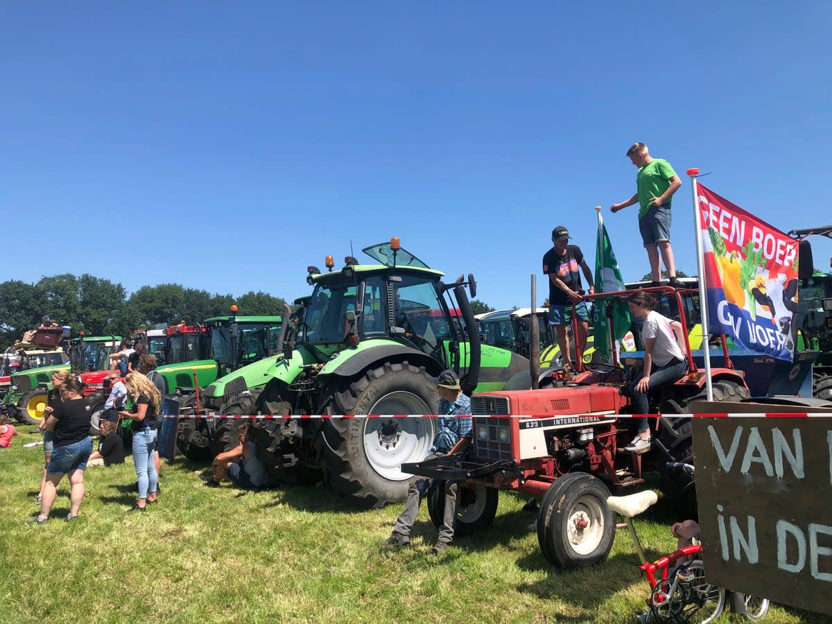 Netherlands Farmers Protests (ASSOCIATED PRESS)