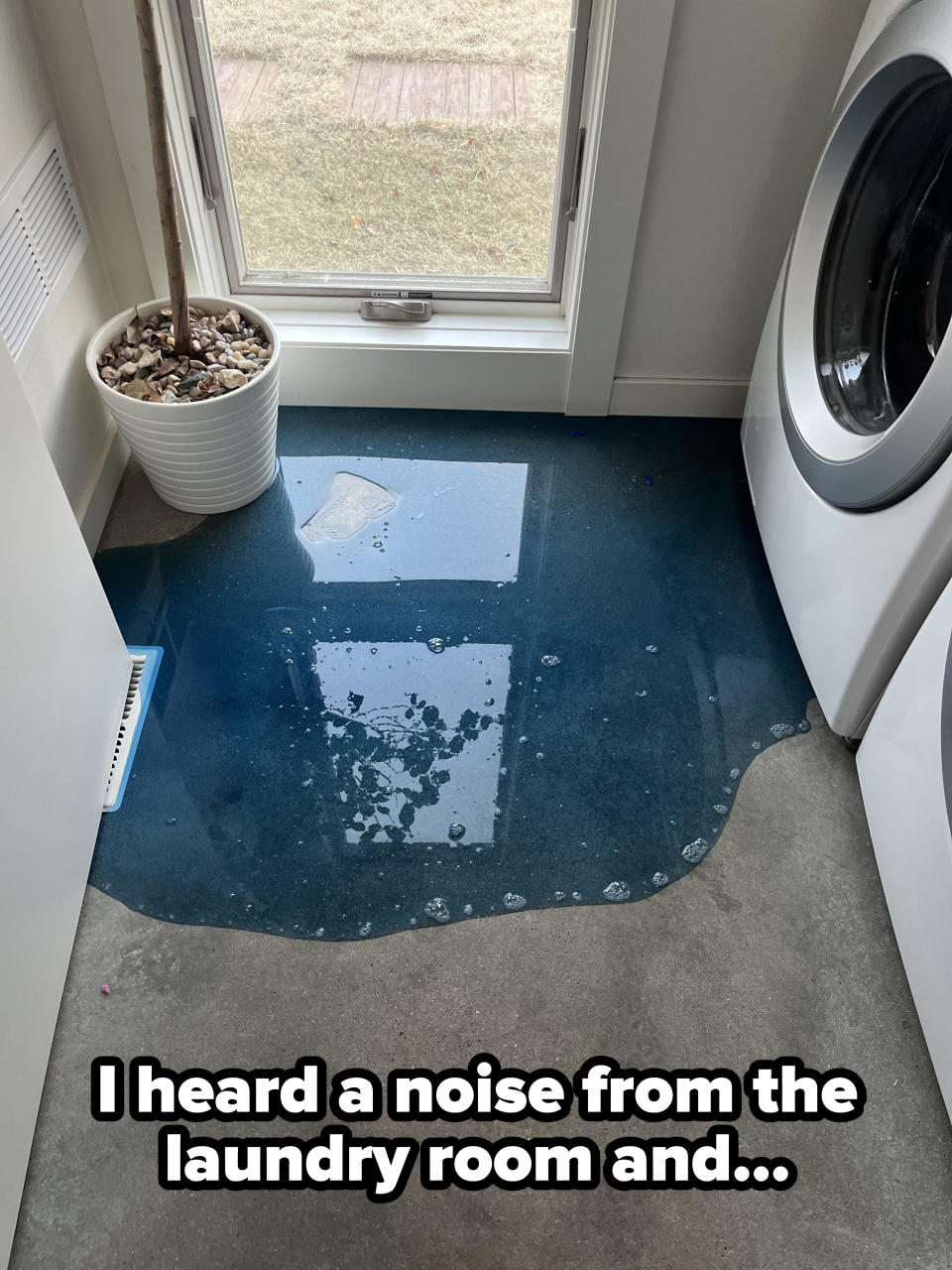 "I heard a noise from the laundry room and" caption with lots of blue liquid laundry detergent on the floor next to a washing machine