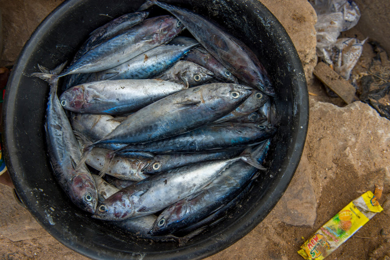 Fresh fish bucket Ghana finshing Wolfgang Kaehler/LightRocket via Getty Images