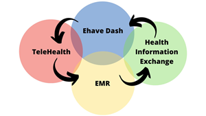 The Ehave Dashboard utilizes BlockChain technology to provide better communication among health care providers for better patient outcomes and is compliant with both HIPAA and GDPR standards.